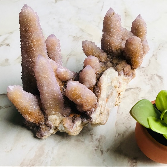 Large Amethyst Spirit Cactus Quartz - Picture 2 of 8